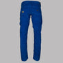 Lois Sierra Fine Needle Cords Electric Blue