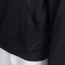 Napapijri Telemark Graphic Hoodie Black