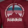 Napapijri Telemark Graphic Hoodie Burgundy