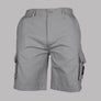 Weekend Offender Mascia Cargo Shorts Smoke