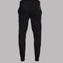 EA7 Core Joggers Black/Gold