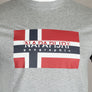 Napapijri Sovico T-Shirt Grey