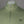 Fred Perry Half Zip Sweatshirt Olive Mint