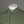 Lacoste Smart Paris Polo Shirt Khaki Green