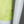 Napapijri Ebea Polo Shirt Yellow Sunny