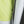 Napapijri Salis T-Shirt Yellow Sunny