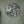 Pretty Green Aquarelle Paisley Applique Logo T-Shirt Green