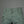 Replay Joe Cargo Pants Aviator Green