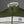 Sergio Tacchini Damarindo Tracksuit Top Sphagnum/Gardenia