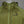 Sergio Tacchini Maldini Hooded Jacket Avocado