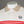 Sergio Tacchini Supermac Polo Shirt Gardenia/Humus