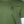 Weekend Offender Cannon Beach T-Shirt Sapling Green