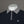 Weekend Offender Lachine Polo Shirt Navy/Mid House Check
