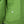 Weekend Offender Naz Jacket Apple