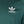 Adidas Adicolor 3-Stripes T-Shirt Mint Green